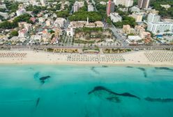 Turyści na Majorce podnieśli lament. Ostrzeżenia przed pogryzieniem