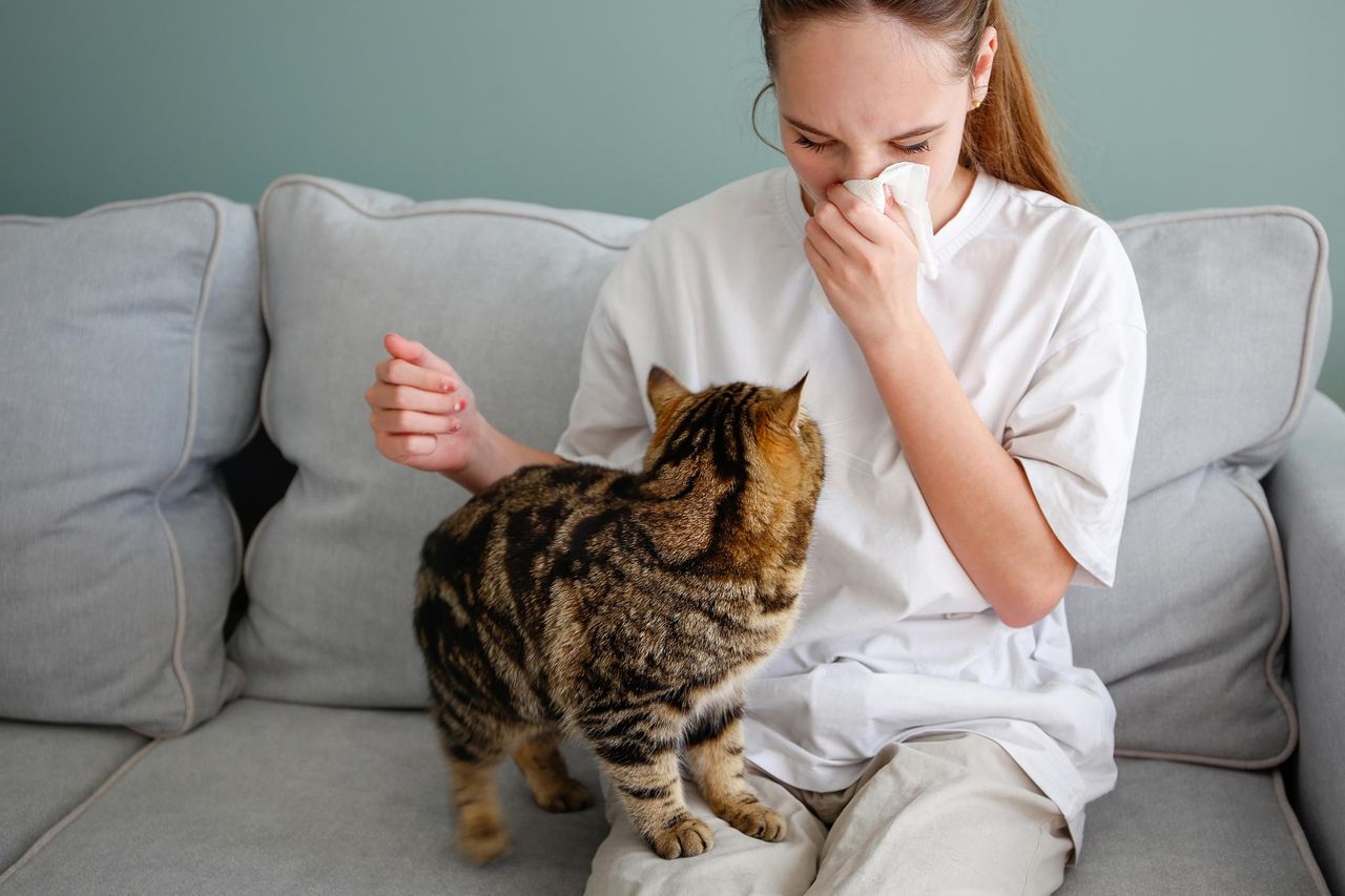 Alergia na kota? A co jeśli to kot ma alergię na Ciebie?
