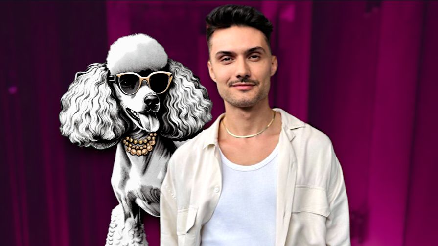 Kulisy show-biznesu (część 2)