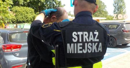 Widelec i siekiera. Krwawa bójka przy zoo w Warszawie