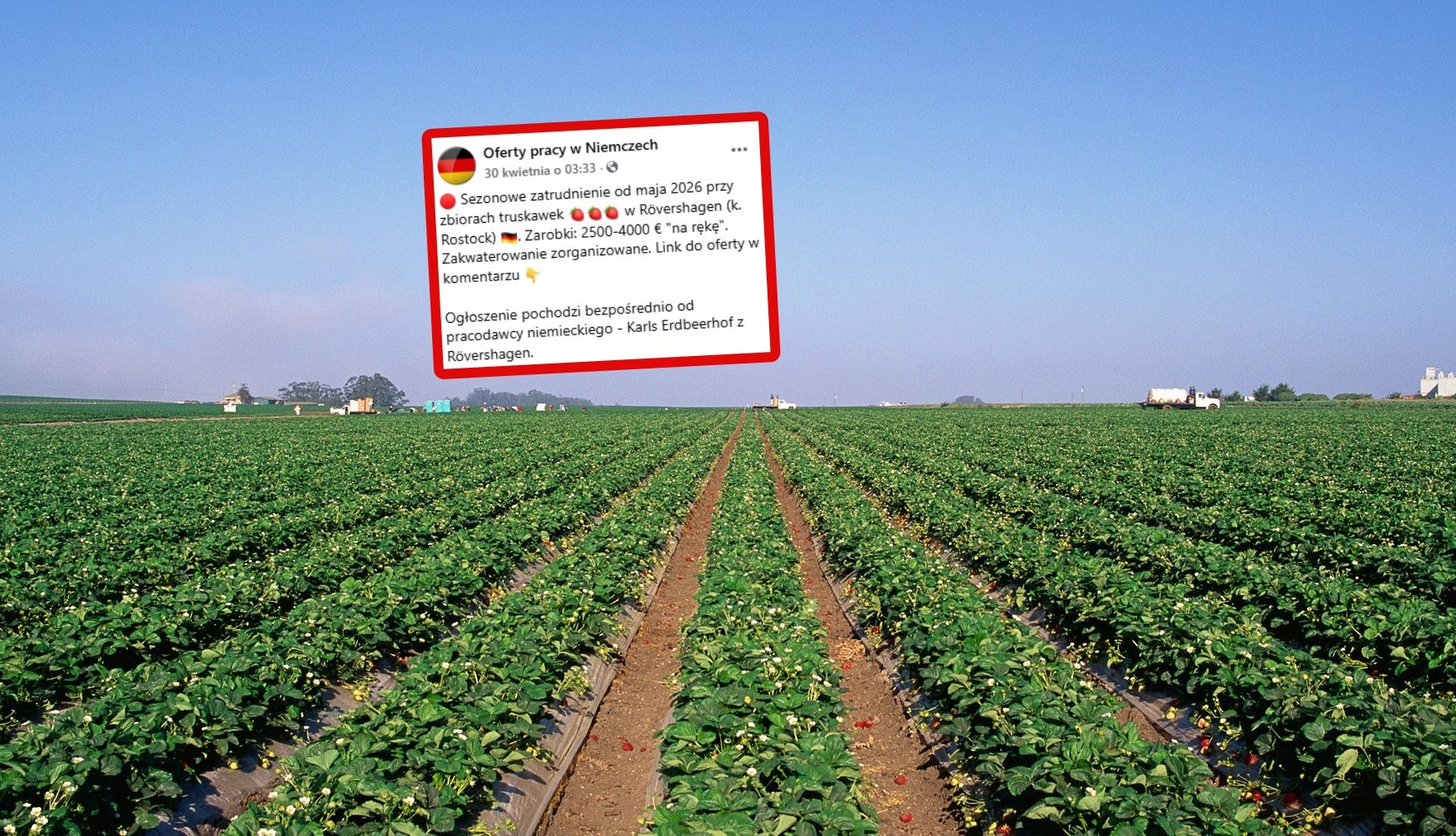 DHL w Lipsku kusi Polaków pensją 16 tys. zł brutto, ale nocleg płatny — image 1