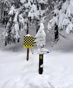 Tatry. Trzeci stopień zagrożenia lawinowego w wysokich partiach