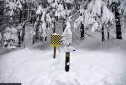 Tatry. Trzeci stopień zagrożenia lawinowego w wysokich partiach