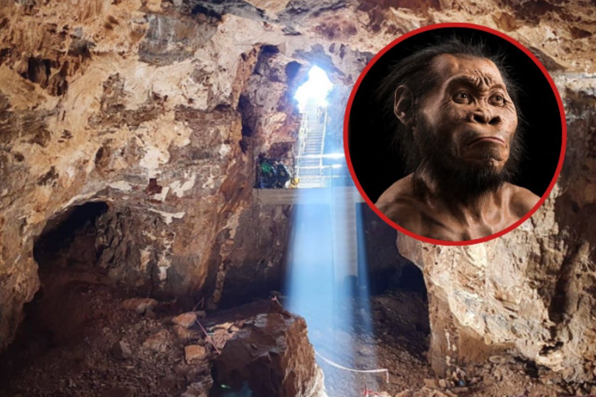 Ancient burial site near Johannesburg rewrites human history