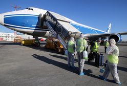 Szalona podróż z Kenii do Amsterdamu. Przetrwał na kole samolotu