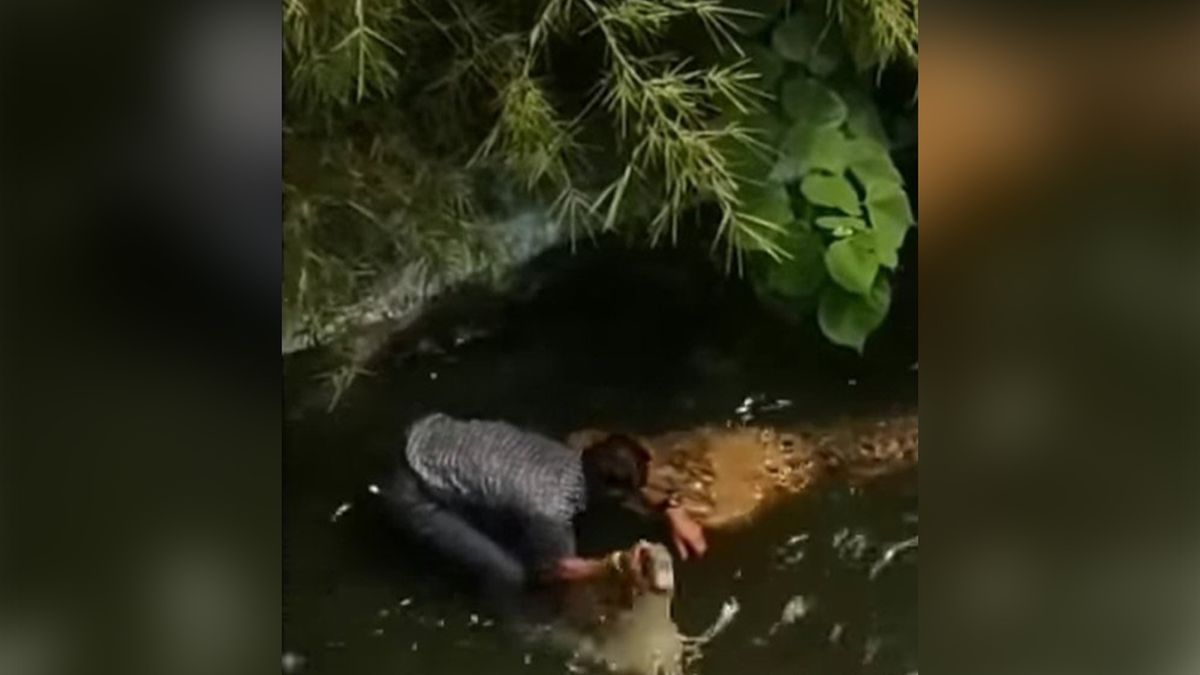 Krokodyl zaatakował 68-latka, który chciał sobie z nim zrobić selfie