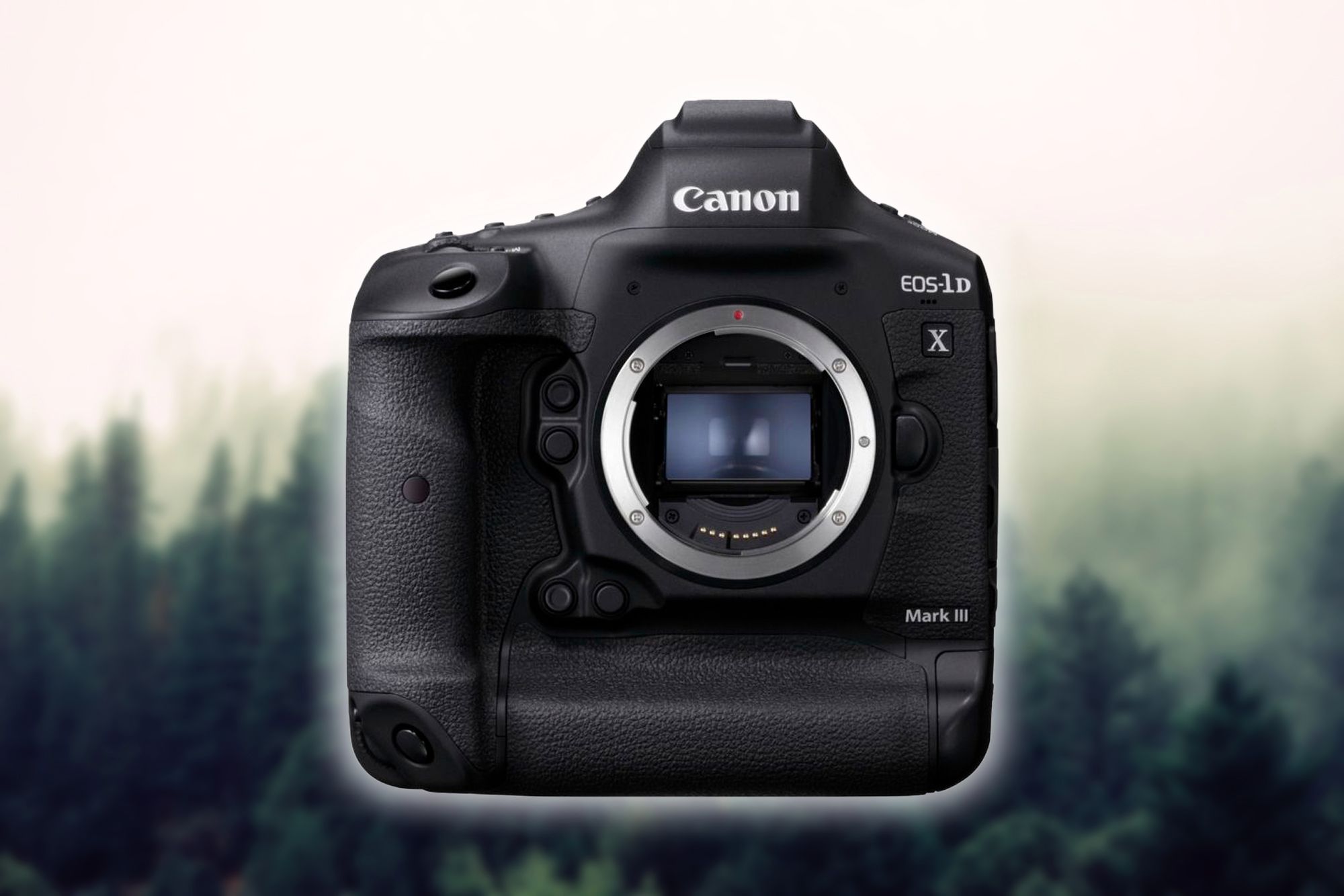 Canon EOS-1D X Mark III to aparat na miarę XXI wieku. Canon odrobił lekcje 1