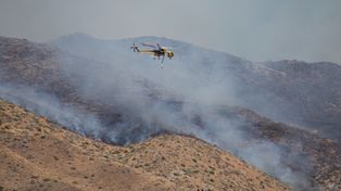 Ogromny pożar w Nevadzie. Tysiące ludzi uciekają przed "Hawk Fire"