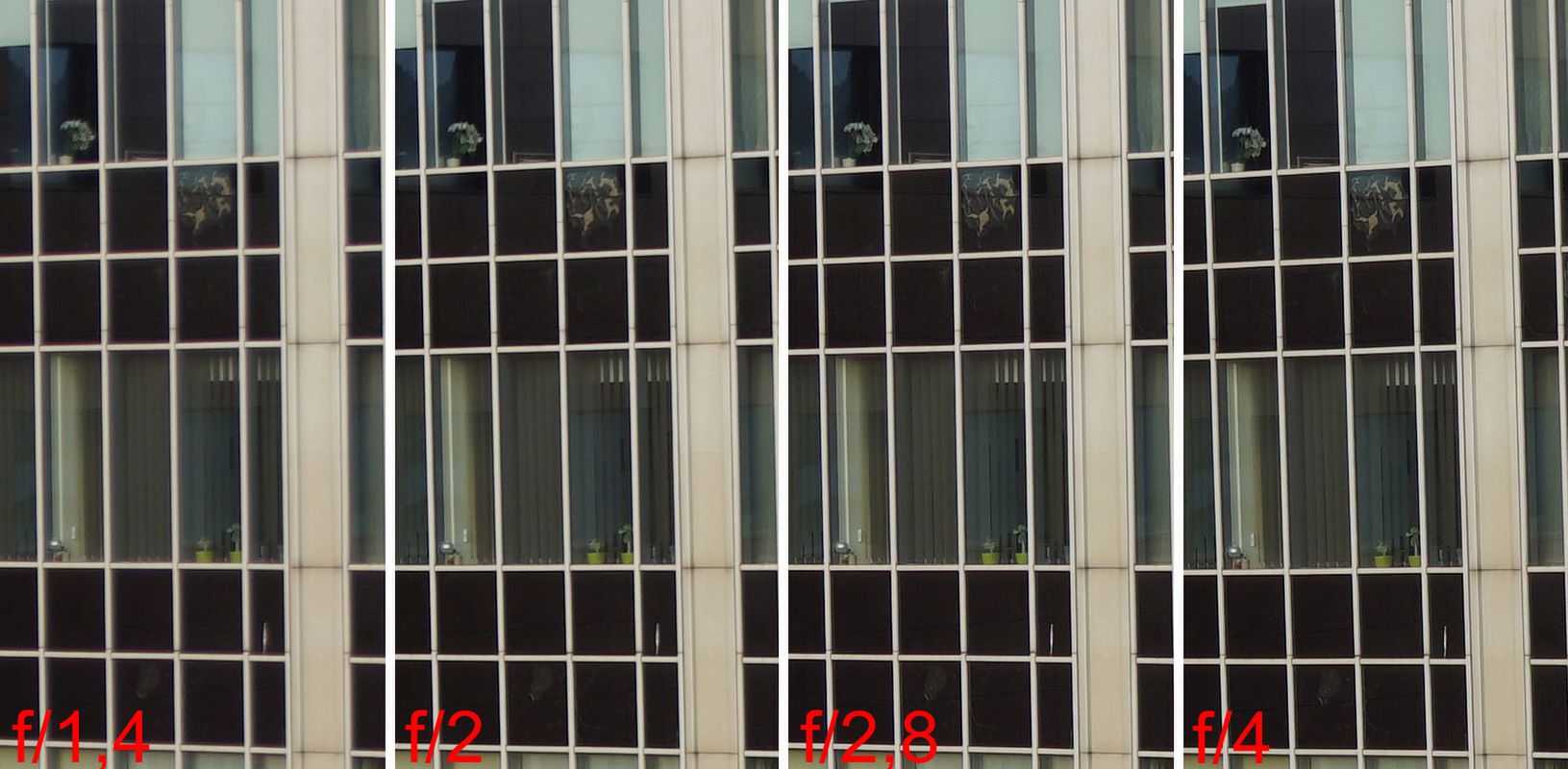 Wpadł mi w ręce Zeiss, czyli teścik Distagona FE 35/1,4 10