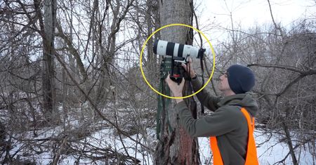 Niesamowita pułapka fotograficzna z obiektywem 200-600 mm. Fotograf się natrudził