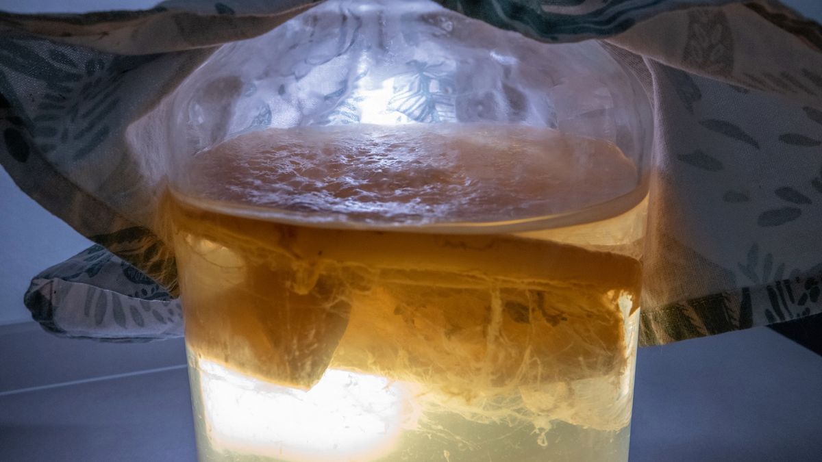 Kombucha to źródło witamin, minerałów i kwasów organicznych