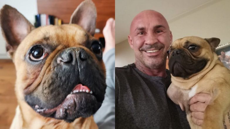 Przemysław Saleta zaadoptował psa