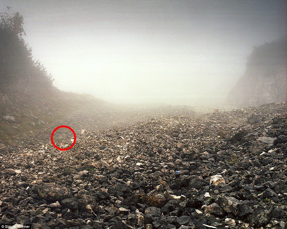 Simon Menner sfotografował snajperów niemieckiej armii. Tylko gdzie oni się podziali? 8