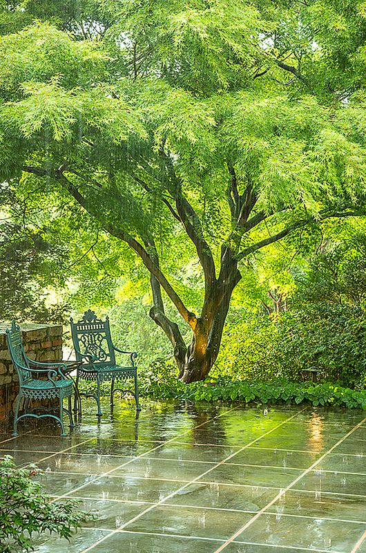 Znamy zwycięzców konkursu International Garden Photographer of the Year 2016 6