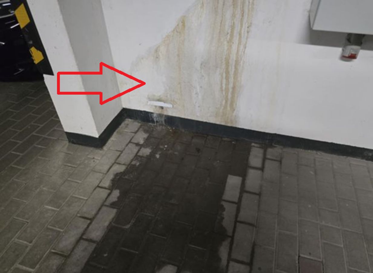 Zdjęcia z bloku w Toruniu. Ludzie się skarżą, deweloper odpowiada