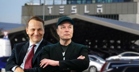 Sikorski do Muska. "Widzisz, wielki człowieku"
