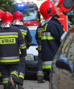 Trasa S8. Na obwodnicy Marek spłonął samochód