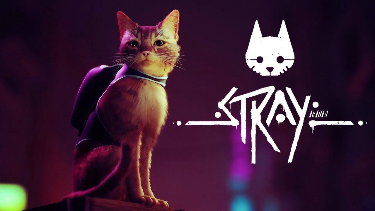 Stray z kategorią 12+. Premiera gry coraz bliżej