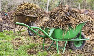 Obornik obornikowi nierówny. Jeden pod ogórki, inny pod róże