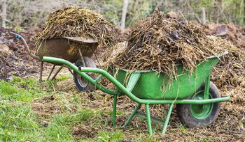 Obornik obornikowi nierówny. Jeden pod ogórki, inny pod róże