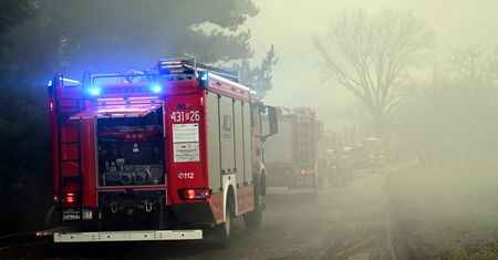 Pożar hali poprodukcyjnej w Pełkiniach. Strażacy walczą z żywiołem
