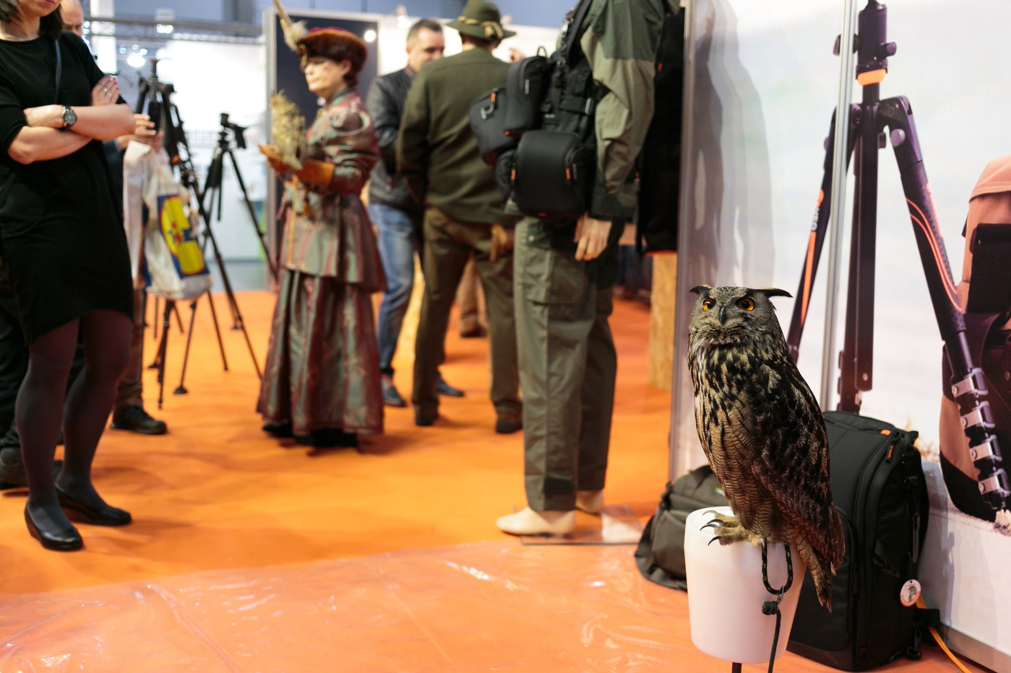Niebawem ruszają jubileuszowe XX Targi FILM VIDEO FOTO 12