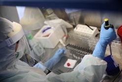 Koronawirus w Polsce. Zakażony przedszkolak w Pruszczu Gdańskim