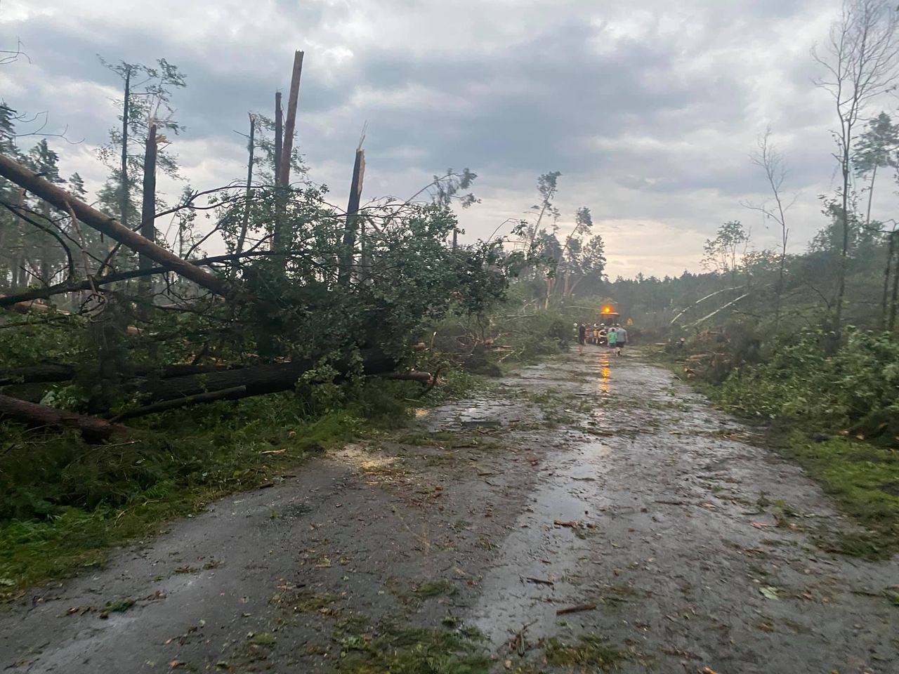 Nawałnica nad Stalową Wolą i Niskiem: wyrwane drzewa, wiele zniszczeń