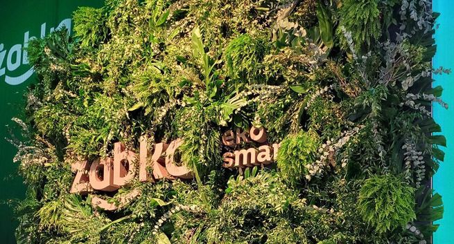 Mikołaj Dragović pokieruje komunikacją Żabki na rynkach zagranicznych