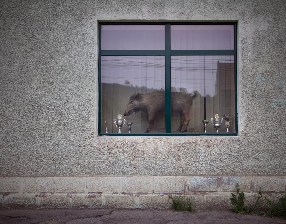 Fotograficzny humor prosto z Rumunii 15