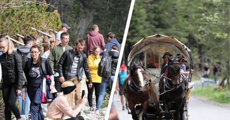Ekolodzy zablokują drogę do Morskiego Oka? Chodzi nie tylko o konie