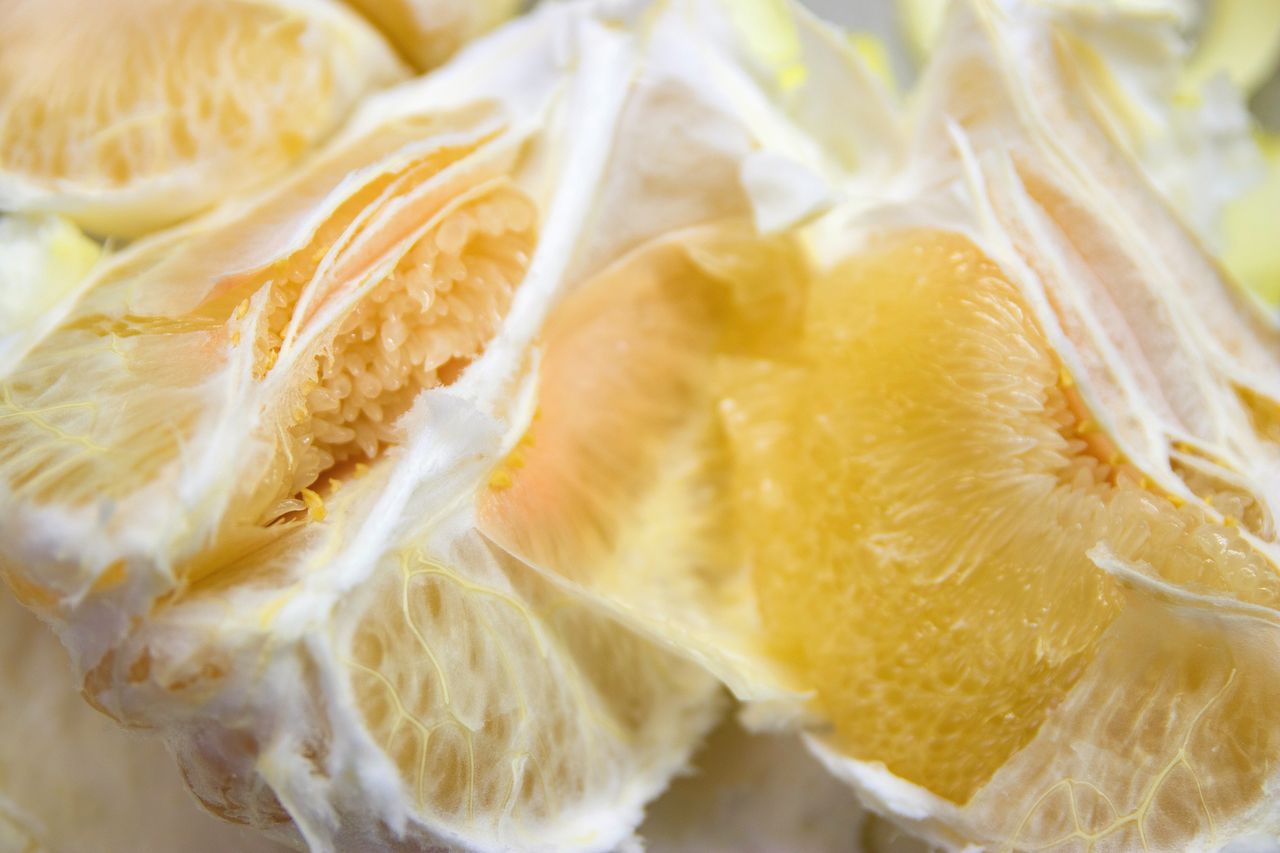 Pomelo: The unsung citrus hero of the cold seasons