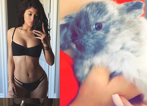 Kylie Jenner o nowym króliku: "Zastąpi mi ojca!"