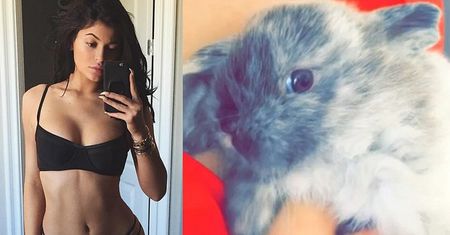 Kylie Jenner o nowym króliku: "Zastąpi mi ojca!"