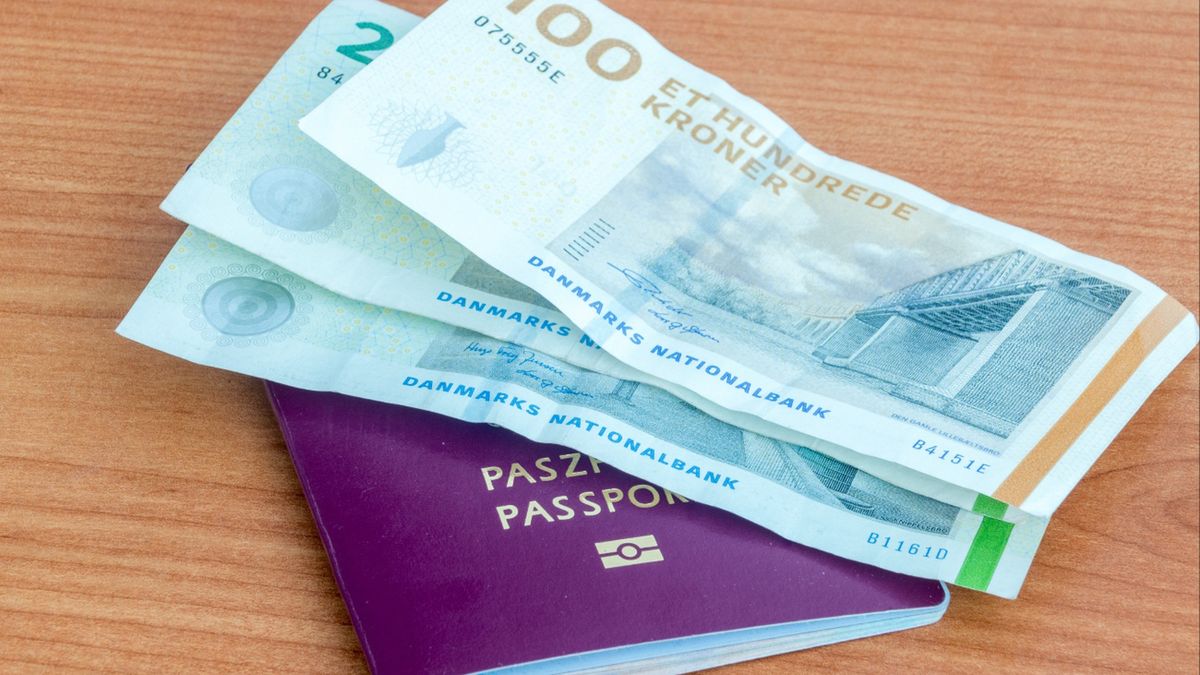 Praca przy zbiorach w Danii. Oto warunki i zarobki