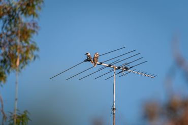 Antena do naziemnej telewizji cyfrowej