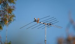 Nowa stacja w telewizji naziemnej? KRRiT ogłosi konkurs