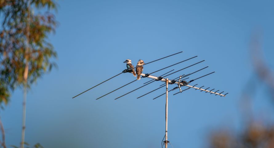 Nowa stacja w telewizji naziemnej? KRRiT ogłosi konkurs