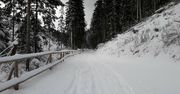 Apel do narciarzy i skiturowców
