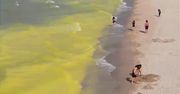 Woda w Bałtyku zmieniła kolor. Teraz jest żółta