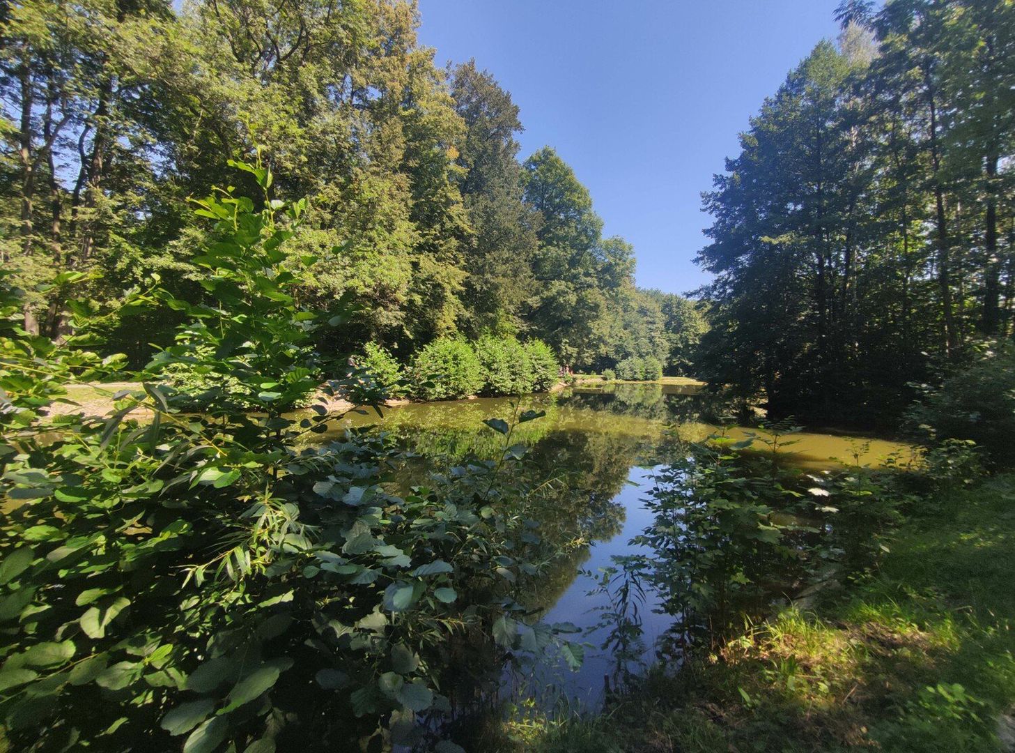 Klimatyczny zbiornik z plażą na Wzgórzu Gedymina idealny na upały. Planowana jest rozbudowa. Zobacz zdjęcia, mapa