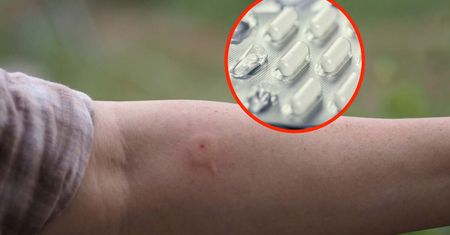 Zażywasz? Użądlenie może mieć tragiczne skutki