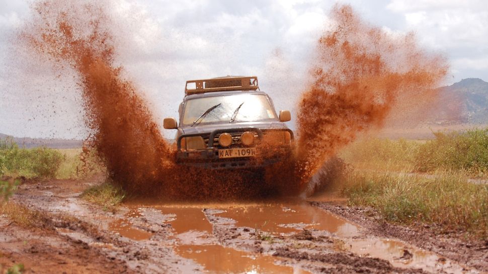 Fot. na licencji Creative Commons; Flickr.com/by Matt and Kim Rudge