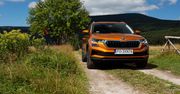 Test długodystansowy: Czy Škoda Karoq to samochód na rodzinną wyprawę?