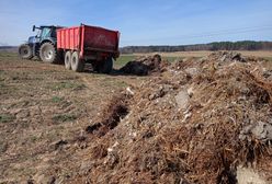 Obornik na celowniku. Kary finansowe dla rolników znacząco wzrosną