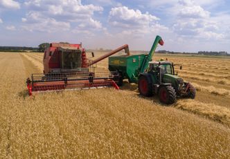 Sytuacja się odwróciła. "Mokre żniwa" zmienią układ sił na rynku?