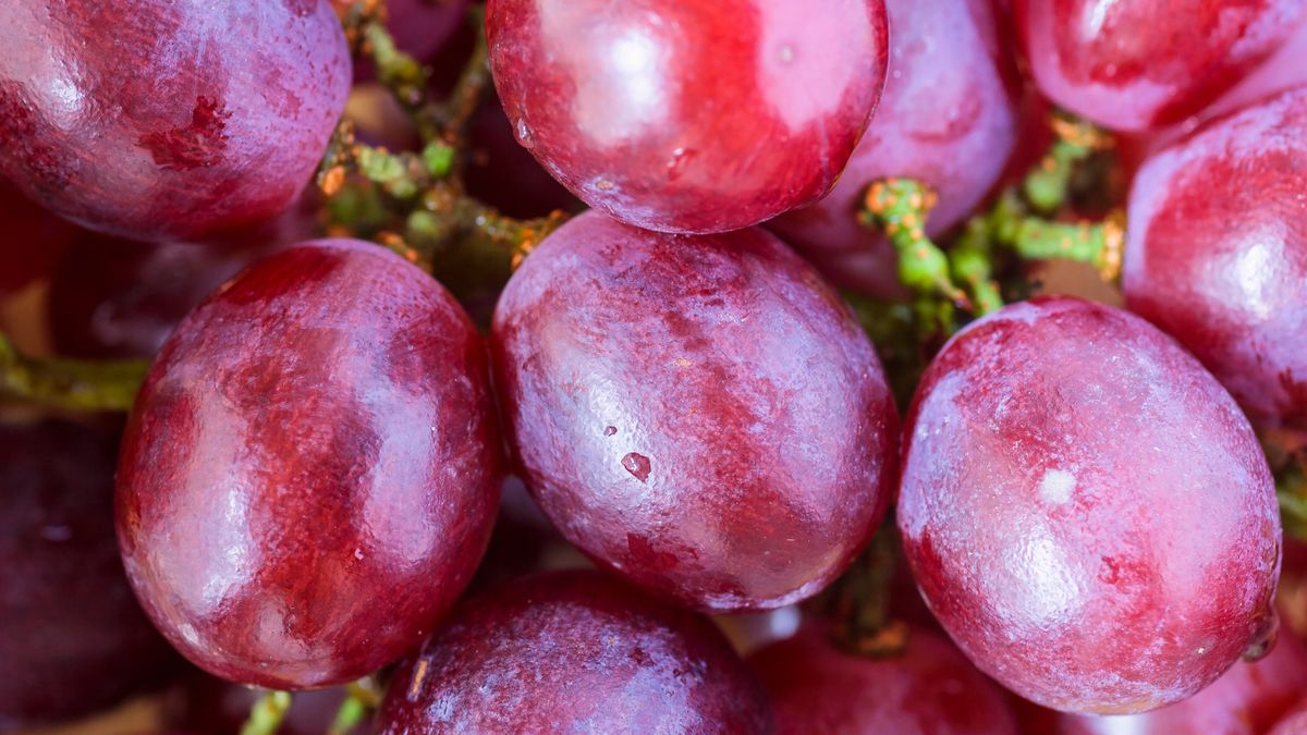 Winogrona zawierają moc antyoksydantów.