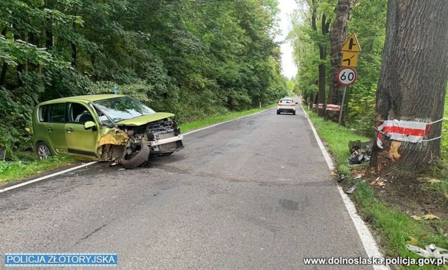 Uderzył w drzewo na prostej drodze. Twierdził, że to przez pszczołę