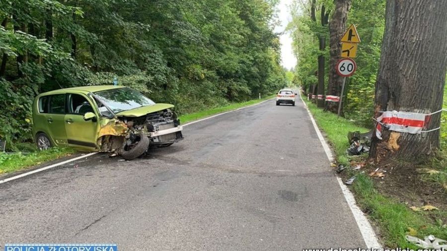 Do zdarzenia doszło na prostym odcinku drogi