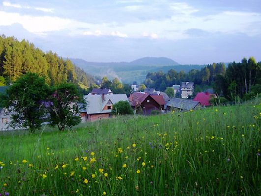 Obraz